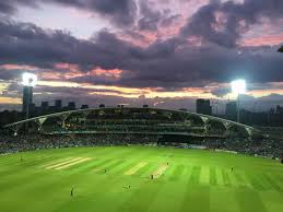 Image result for Roding Valley Cricket Club