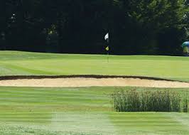 Image result for Abingdon G C