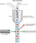 Introduction to <b>flow cytometry</b> | Abcam