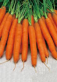 Image result for Möhren