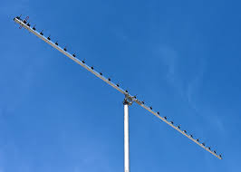 Image result for digitenne yagi