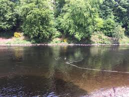 Image result for Aberdeen & District Angling Association