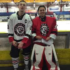 Image result for Basingstoke Bison Ice Hockey Club
