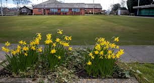 Image result for Barton Bowls Club