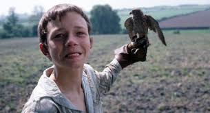 Kuvahaun tulos haulle kes