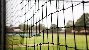 Image result for Old Paulines Cricket Club