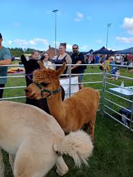 Image result for Burntwood Rugby Union Football Club