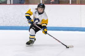 Image result for Adur Skater Hockey Club