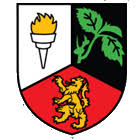 Image result for Kinawley Gfc