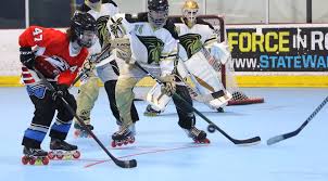 Image result for Dundee Ducks inline roller hockey club