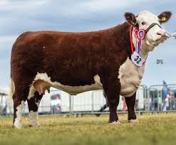 Image result for A J Activities, Herefordshire