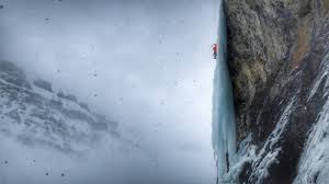 Attēlu rezultāti vaicājumam “Trichia alpina young”