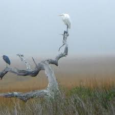 Image result for St Marys Tai Chi