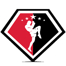 Image result for Newport Kyokushin Karate Club