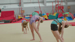 Image result for Waveney Gymnastics Club