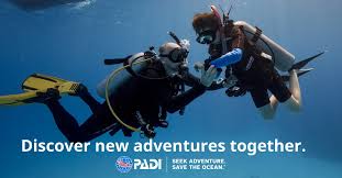 Image result for Aquanauts Dive Centre Sunderland