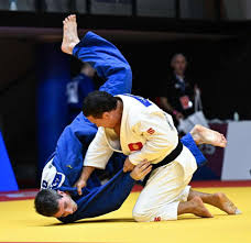 Image result for Judo Excellence