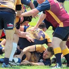 Image result for Bingham Rugby Union Football Club