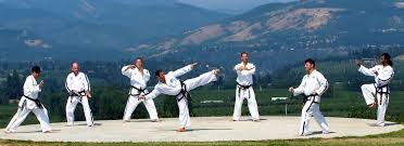 Image result for I T F Taekwondo (Andover)