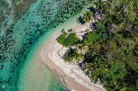 Image result for cahuita costa rica