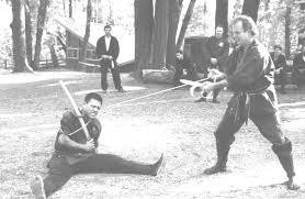 Image result for Bridge Hall Bujinkan Dojo