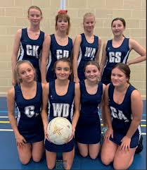 Image result for Goole Ladies Netball Club