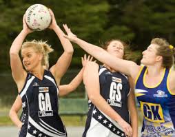 Image result for Wombles Netball Club