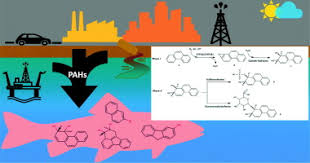 Image result for Parophrys vetulus