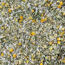 Image result for Matricaria recutita (chamomilla)
