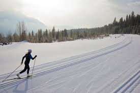 Image result for Scandinavian slope and cross country skiing