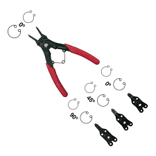 Image result for pheega