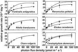 Attēlu rezultāti vaicājumam “Cinclidotus danubicus cells”