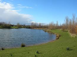 Image result for Rawcliffe