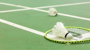Image result for Pioneers Badminton Club