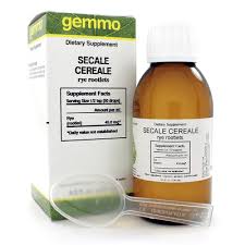 Attēlu rezultāti vaicājumam “Secale cereale”