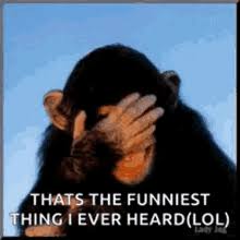 Image result for funniest picture ever