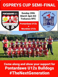 Image result for Pontardawe Rugby Football Club