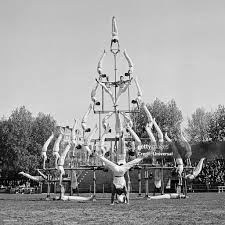 Image result for Pyramid Gymnastics Club