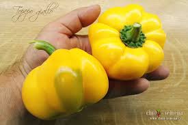 Afbeeldingsresultaat voor topepo giallo sweet pepper