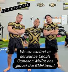 Image result for Bully Me Now Mixed Martial Arts