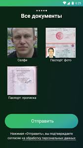 Image result for скан паспорта