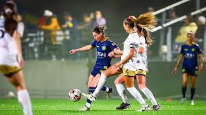 Image result for Gotham Soccer League