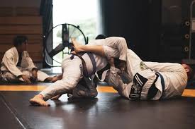 Image result for Didcot Judo and Karate Club