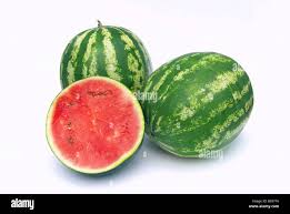 Image result for Melone
