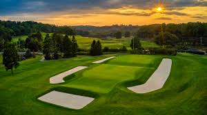 Image result for Fox Gc