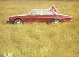 Image result for Turmeric Yellow 1979 Jaguar