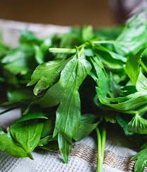 Image result for Liebstöckel