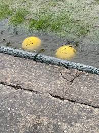 Image result for Denby Grange Bowling Club, Wakefield, Yorkshire