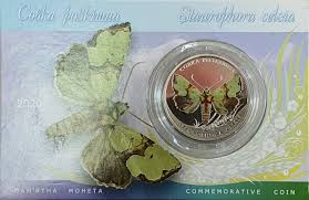 Attēlu rezultāti vaicājumam “Staurophora celsia”