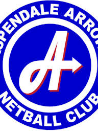 Image result for Newdigate Netball Club